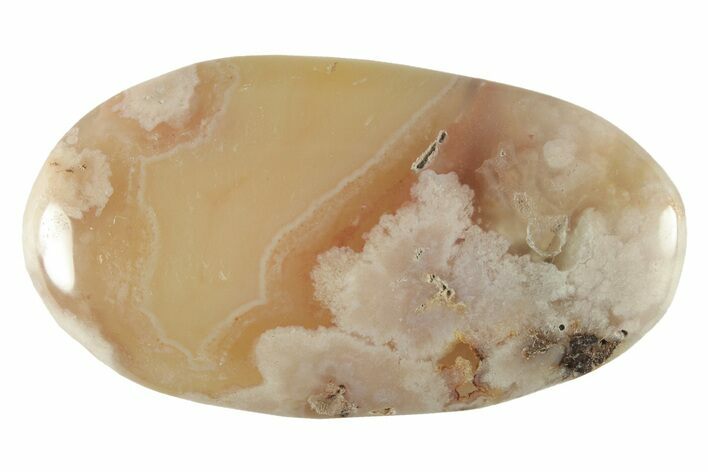 Polished Flower Agate Palm Stone - Madagascar #227003